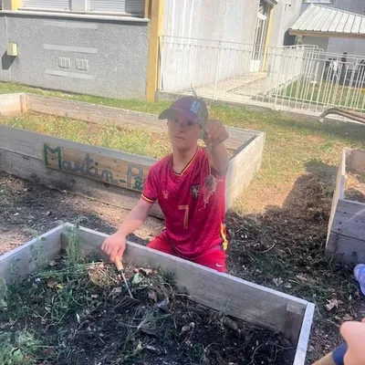 Potager — photo 4
